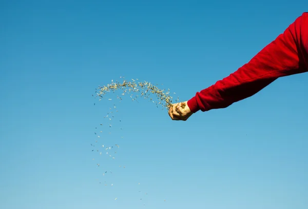 throwing_seeds